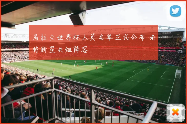乌拉圭世界杯人员名单正式公布 老将新星共组阵容