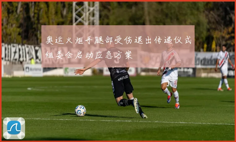 奥运火炬手腿部受伤退出传递仪式组委会启动应急方案