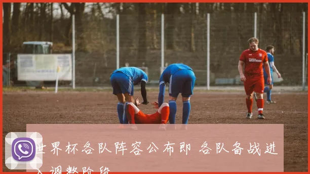 世界杯各队阵容公布即 各队备战进入调整阶段