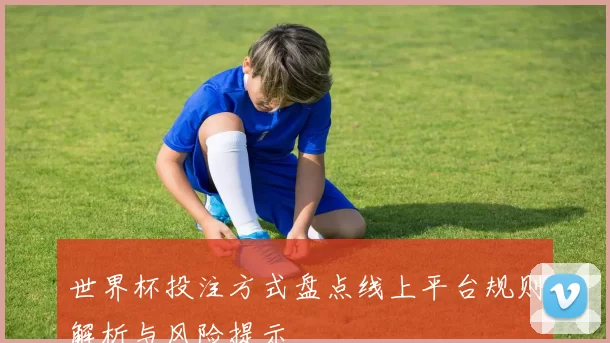 世界杯投注方式盘点线上平台规则解析与风险提示