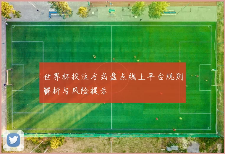 世界杯投注方式盘点线上平台规则解析与风险提示