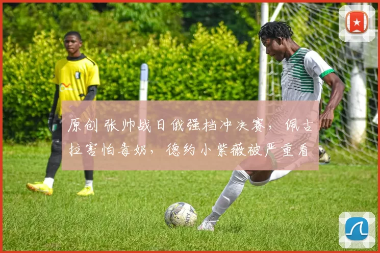 原创 张帅战日俄强档冲决赛，佩古拉害怕毒奶，德约小紫薇被严重看衰