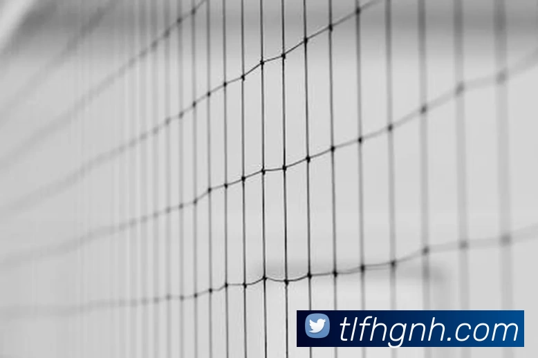 mksports赛事直播发展历程